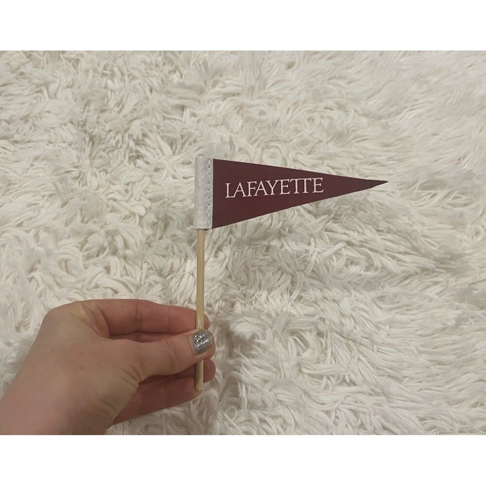 Lafayette College Clear Stadium Bag w/Sports Fan & Spirit Gear (Bed Party Ready) - Picture 14 of 16